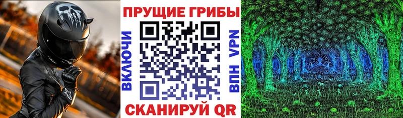 маркетплейс какой сайт  Нижние Серги  Псилоцибиновые грибы мухоморы 